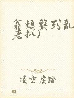 翁熄系列乱 (老扒)