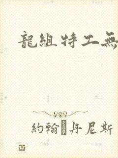 龙组特工无弹窗