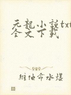 元龙小说txt全文下载