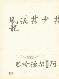 风流花少 花睿龙