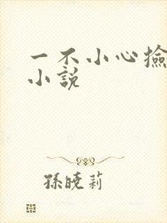 一不小心捡到爱小说