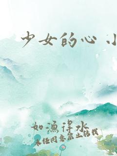 少女的心 小说