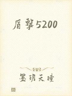 盾击5200