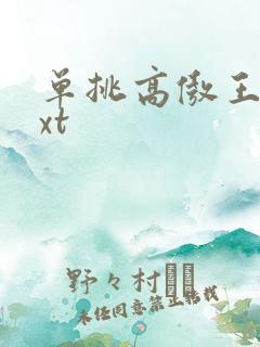 单挑高傲王子txt