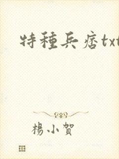 特种兵痞txt