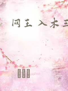 网王 入木三分