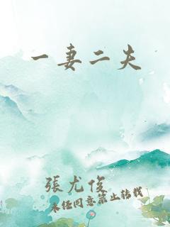 一妻二夫