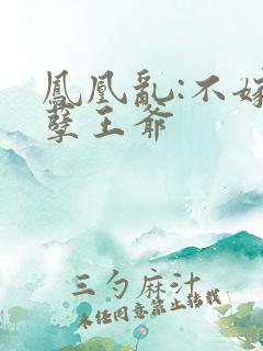凤凰乱:不嫁妖孽王爷