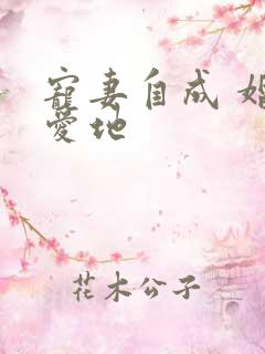 宠妻自成 婚天爱地
