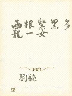 两根紫黑多男双龙一女