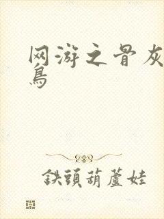 网游之骨灰级菜鸟