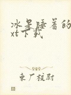 冰是睡着的水txt下载