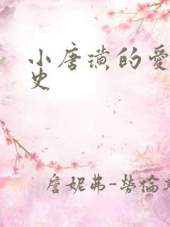 小唐璜的爱情历史