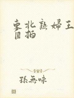 东北熟妇王梅娟自拍