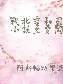 战北霆和司情的小说免费阅读