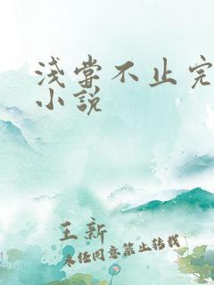 浅尝不止完整版小说