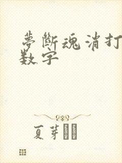 梦断魂消打三个数字