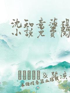 沈知意薄砚霆的小说免费阅读