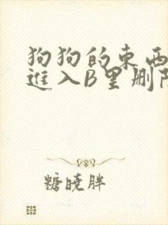 狗狗的东西直接进入B里删除