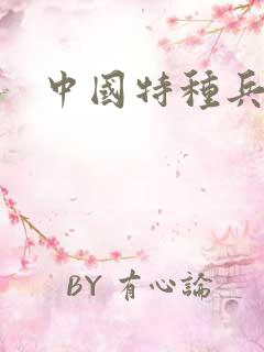 中国特种兵小说