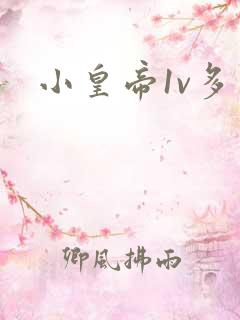 小皇帝1v多