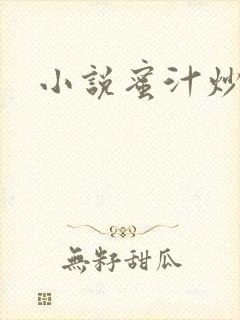 小说蜜汁炒鱿鱼