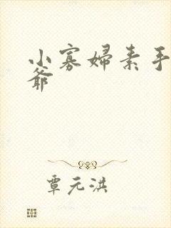 小寡妇素手擒四爷