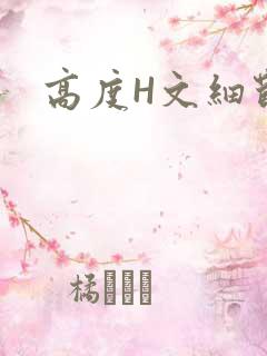 高度H文细节