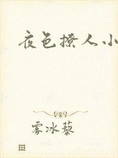 夜色撩人小说