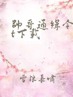 帅哥通缉令txt下载