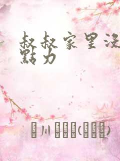 叔叔家里没人用点力