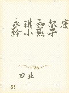 永琪和尔康一起干小燕子