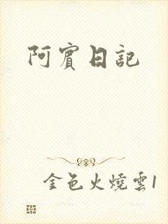 阿宾日记