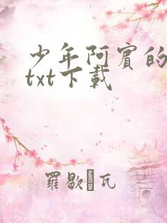 少年阿宾的故事txt下载