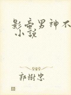 影帝男神不节制 小说