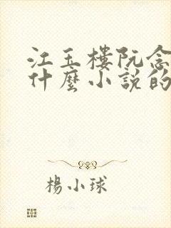 江玉楼阮念笙是什么小说的名字