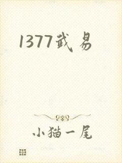 1377武易