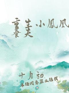 重生小凤凰的童养夫