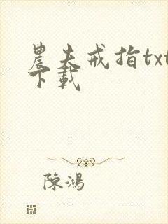 农夫戒指txt下载