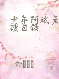 少年阿斌免费阅读目录