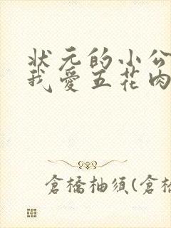 状元的小公主(我爱五花肉)