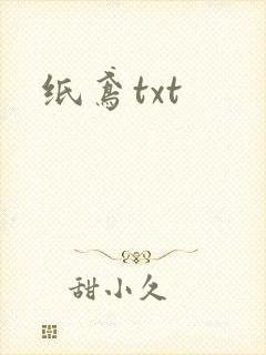 纸鸢txt