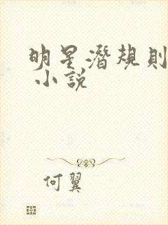 明星潜规则之皇 小说