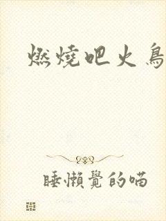燃烧吧火鸟小说