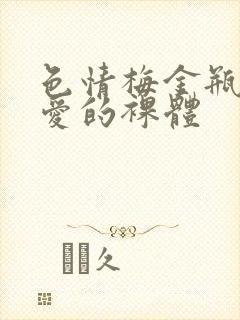 色情梅金瓶2之爱的裸体