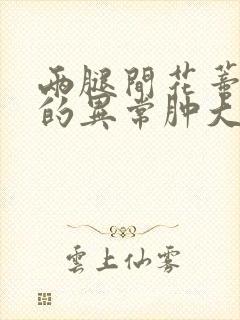 两腿间花蒂被吸的异常肿大