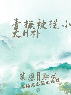 青梅被从小摸到大H补