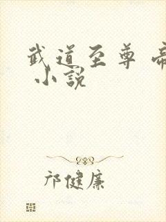 武道至尊 帝临 小说