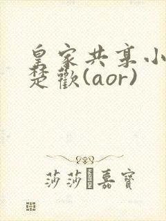 皇家共享小公主楚欢(aor)