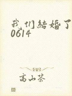 我们结婚了130614